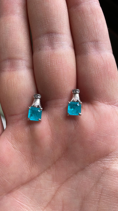 Broquel plata zirconia